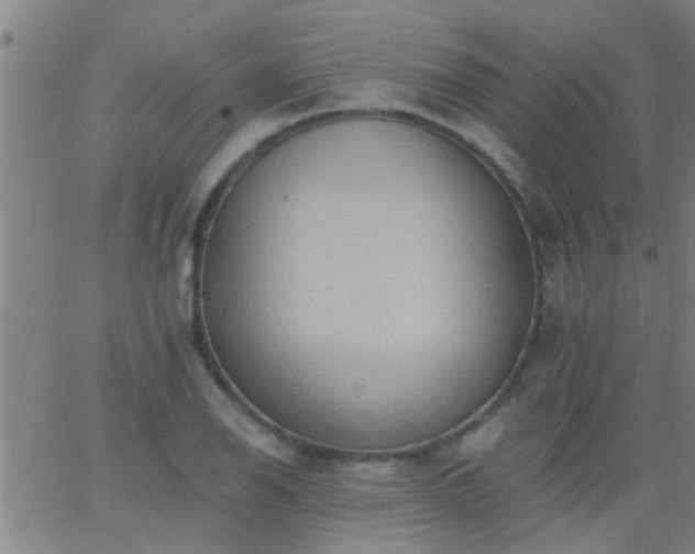 X0000062891126200601201839