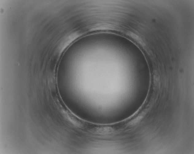 X0000062891129200601201839