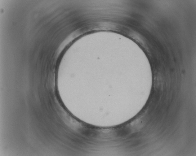 X0000062891130200601201839