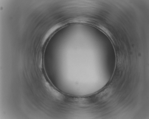 X0000062891131200601201839