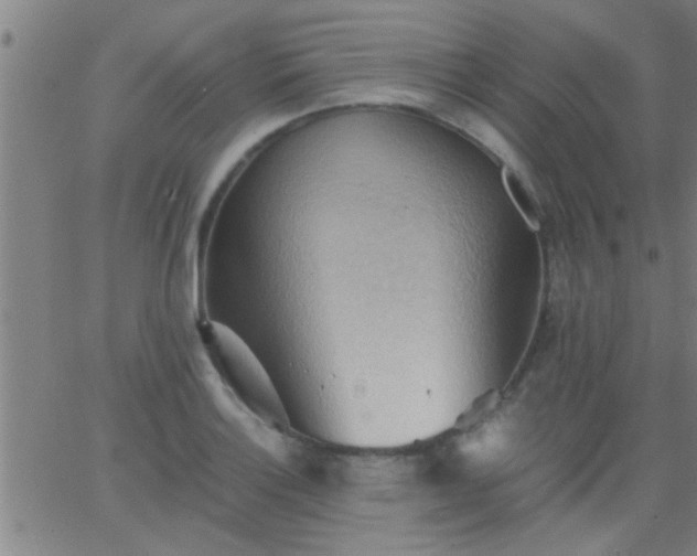 X0000062891132200601201839