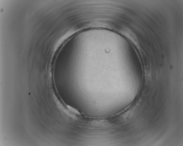 X0000062891133200601201839