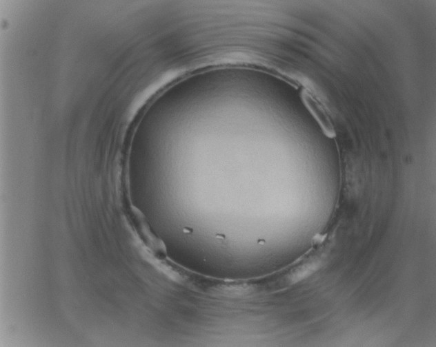 X0000062891134200601201839