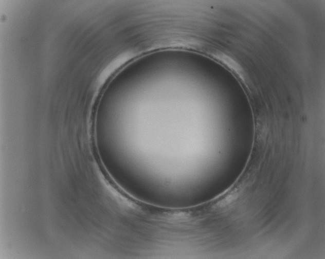 X0000062891135200601201839