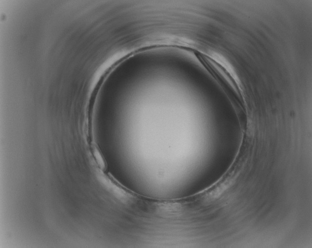 X0000062891136200601201839