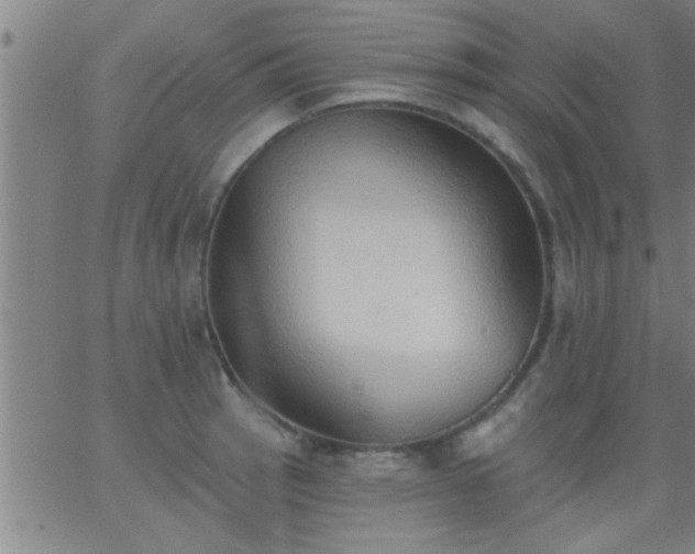 X0000062891137200601201839