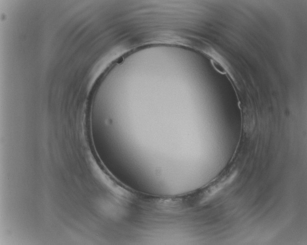 X0000062891139200601201839