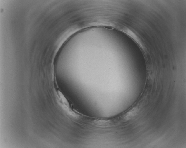 X0000062891140200601201839