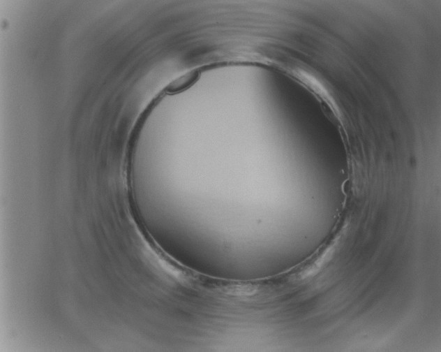 X0000062891141200601201839