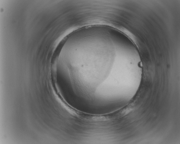 X0000062891142200601201839