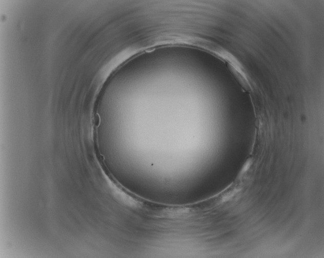 X0000062891143200601201839