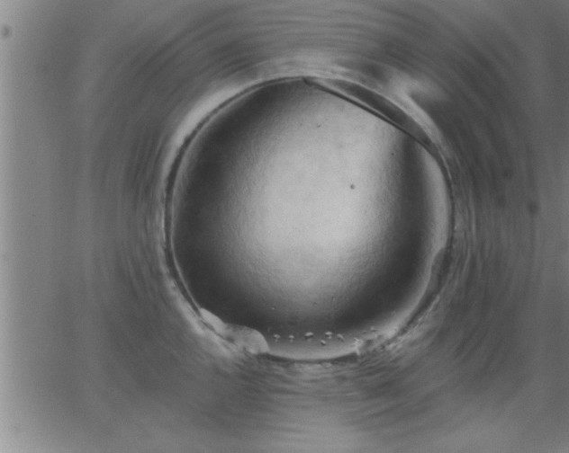 X0000062891144200601201839