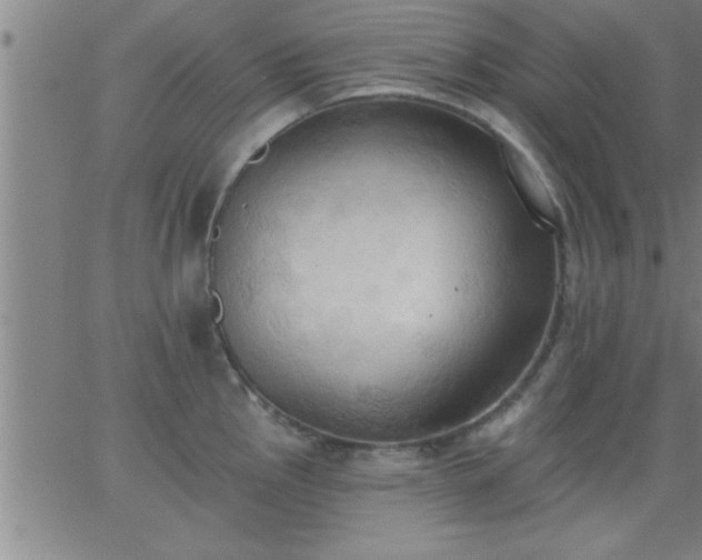 X0000062891145200601201839