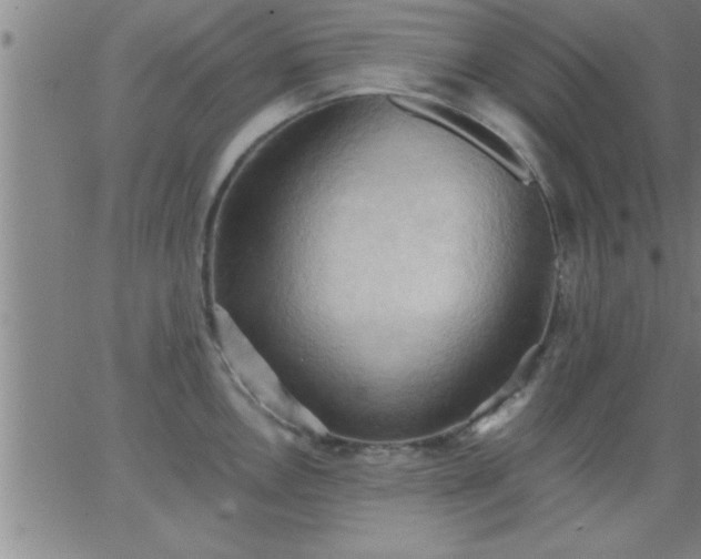 X0000062891146200601201839