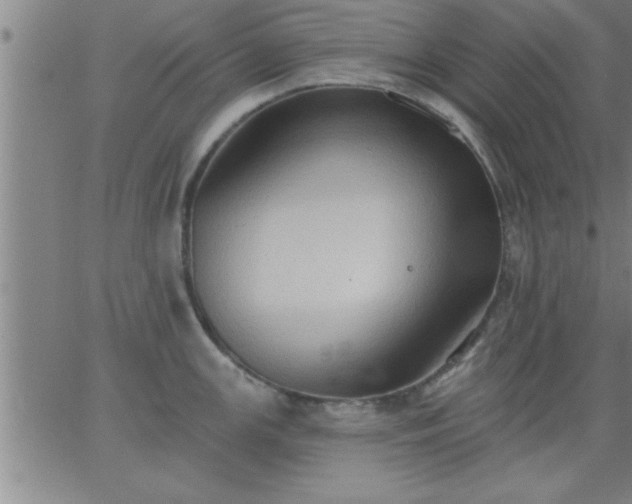 X0000062891147200601201839