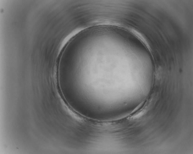 X0000062891149200601201839