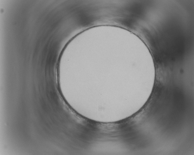 X0000062891150200601201839