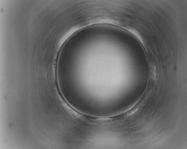 X0000062891151200601201839