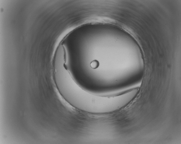 X0000062891152200601201839