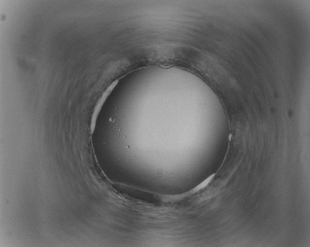 X0000062891153200601201838