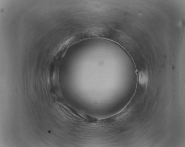 X0000062891155200601201838