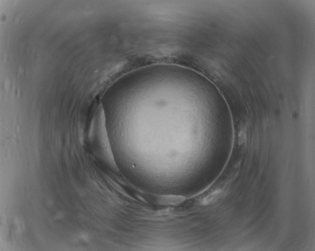 X0000062891156200601201838