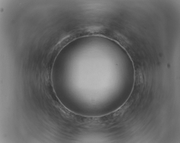 X0000062891158200601201838