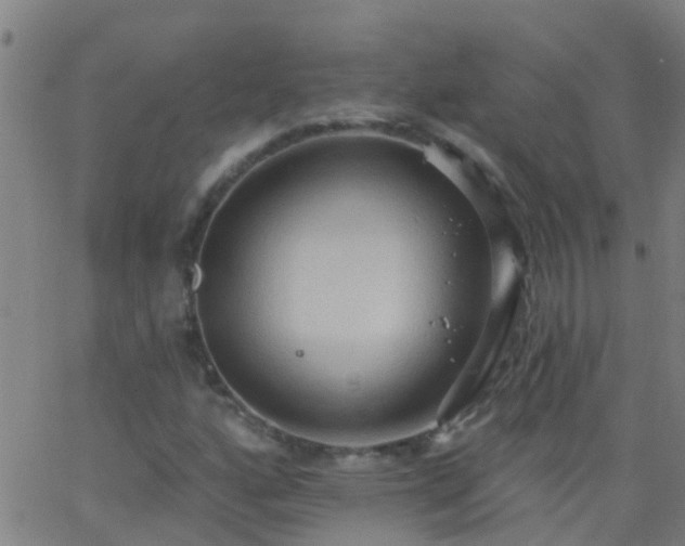 X0000062891160200601201838