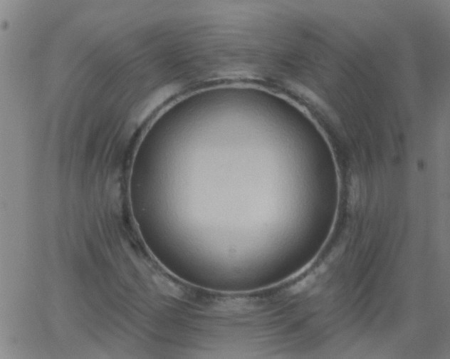 X0000062891162200601201838