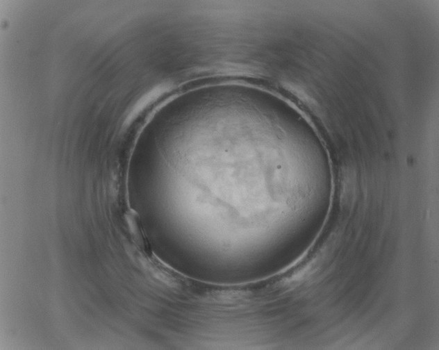 X0000062891163200601201838