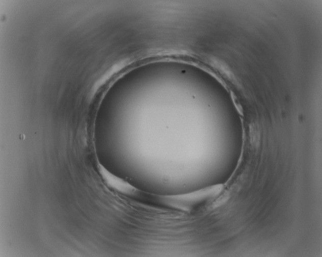 X0000062891165200601201838