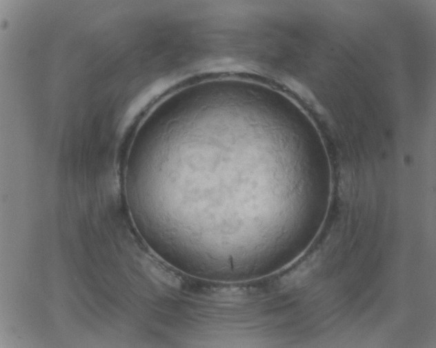 X0000062891167200601201838