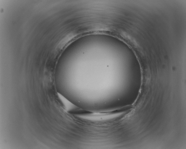 X0000062891169200601201838