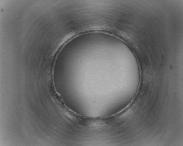 X0000062891170200601201838