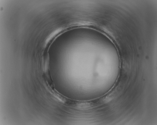 X0000062891171200601201838