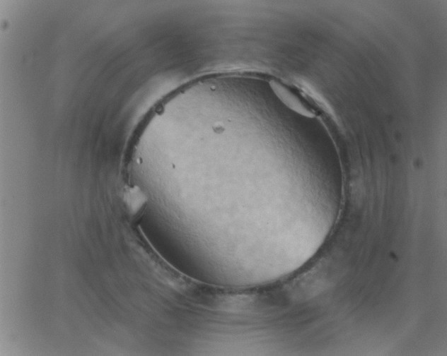 X0000062891173200601201838