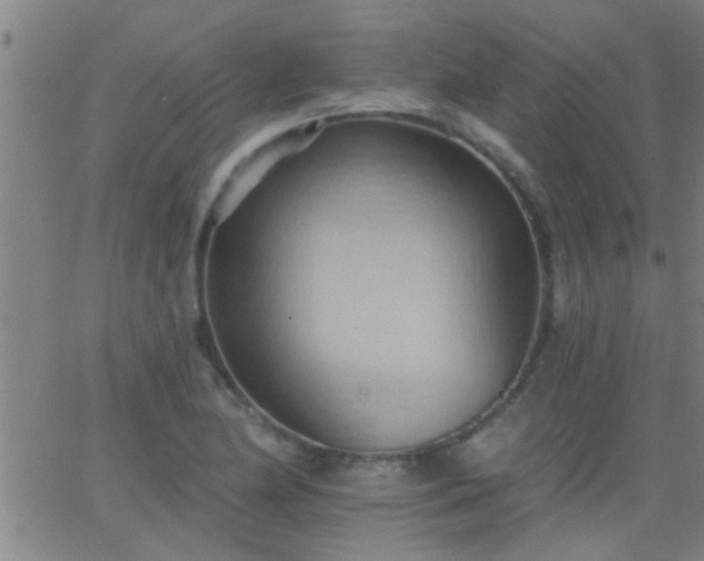 X0000062891174200601201838