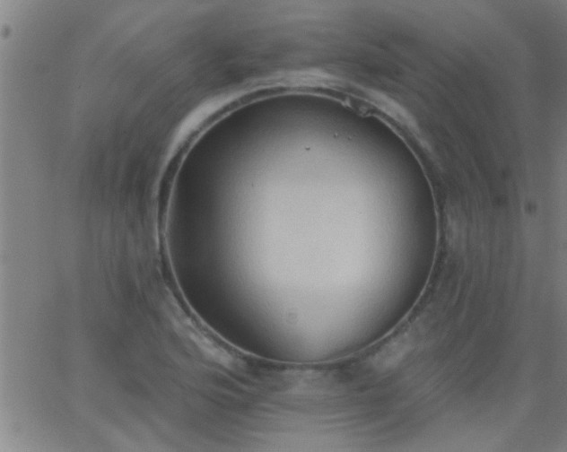 X0000062891176200601201838