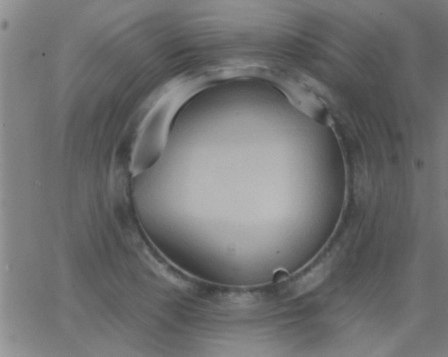 X0000062891177200601201838