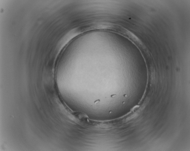 X0000062891178200601201838