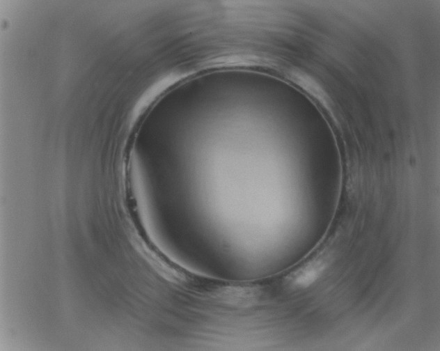 X0000062891179200601201838