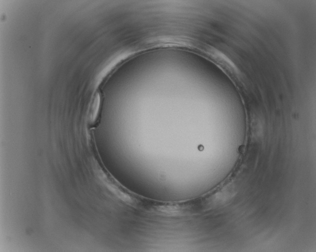 X0000062891182200601201838