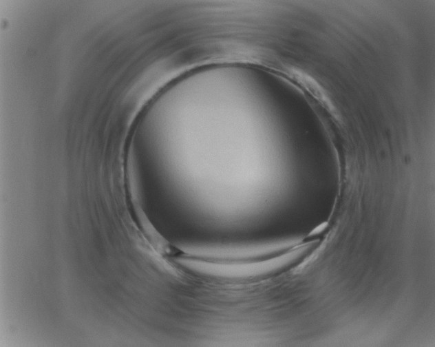 X0000062891184200601201838