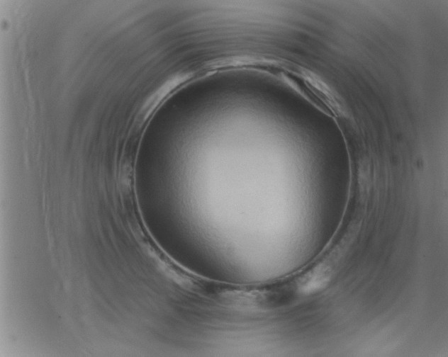 X0000062891185200601201838