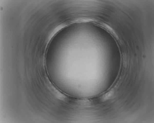 X0000062891186200601201838