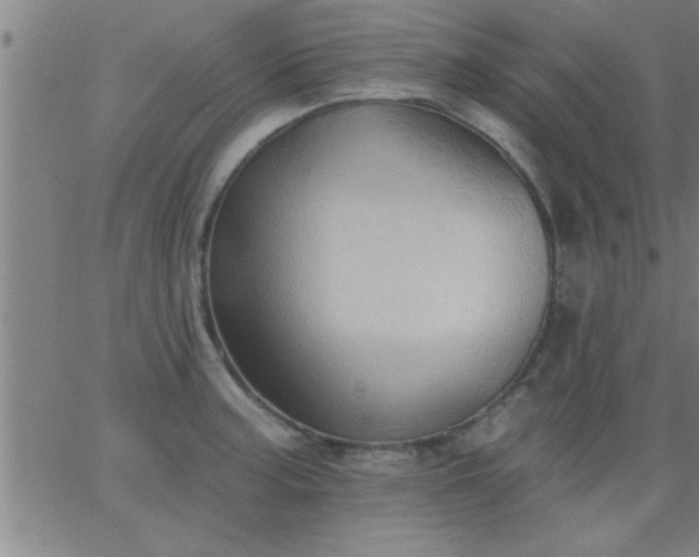 X0000062891187200601201838