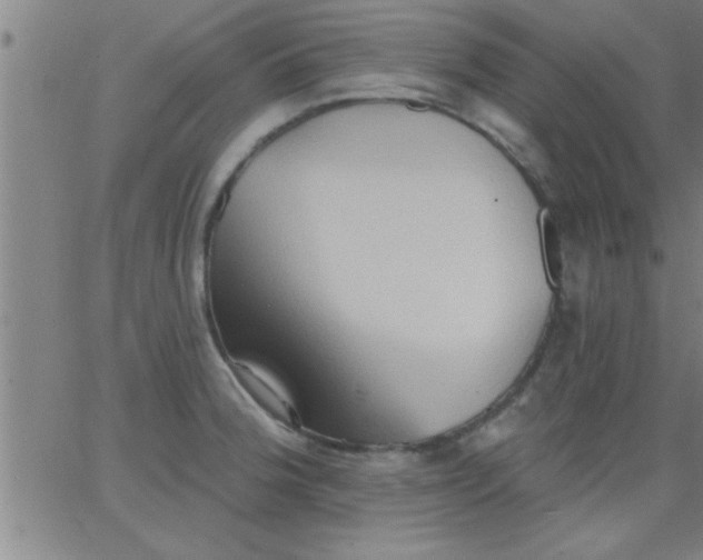 X0000062891188200601201838