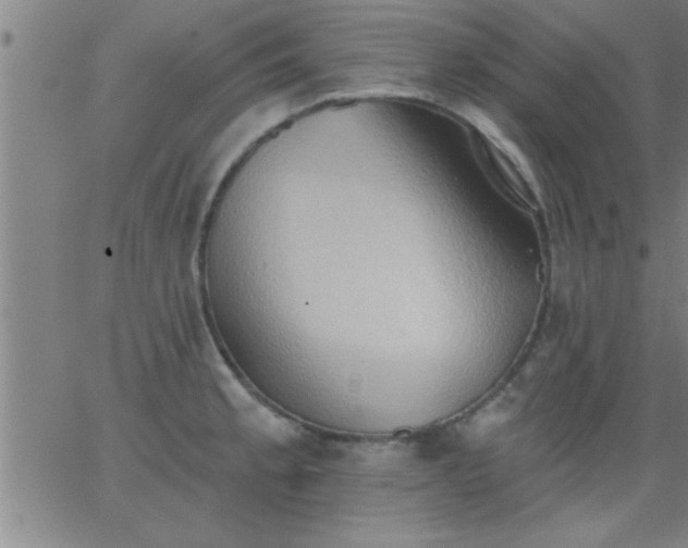 X0000062891189200601201838