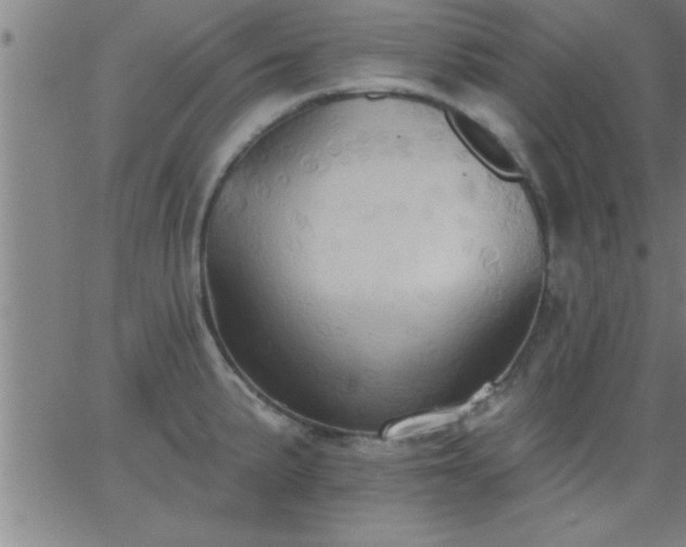 X0000062891191200601201838