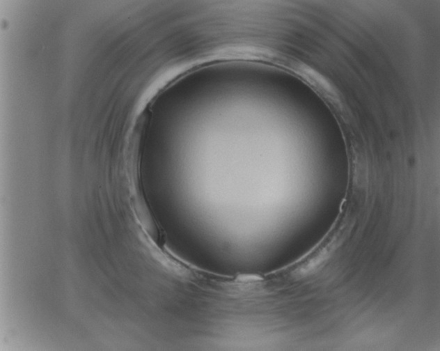 X0000062891192200601201838